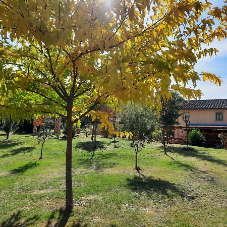 Campogialli Sassomatto B&B Bioagriturelax المظهر الخارجي الصورة