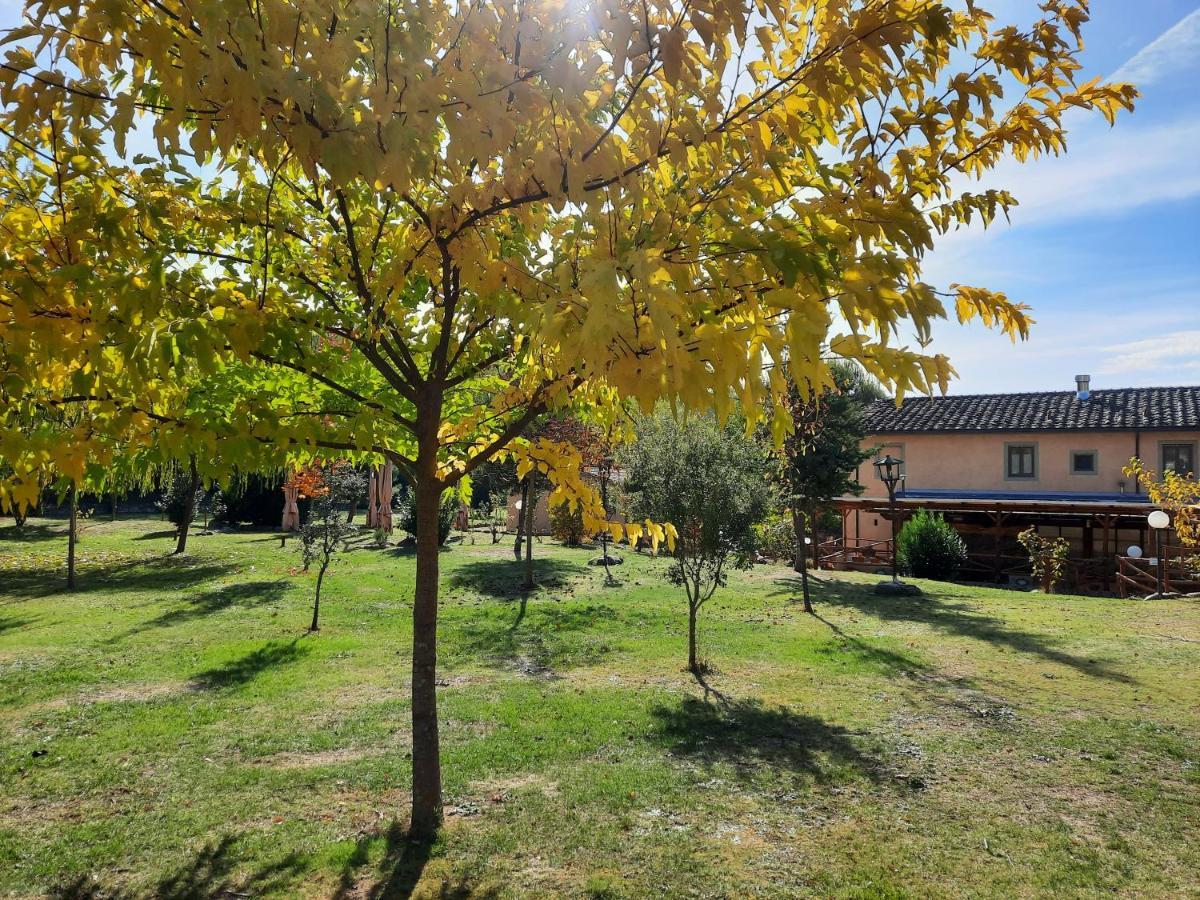 Campogialli Sassomatto B&B Bioagriturelax المظهر الخارجي الصورة