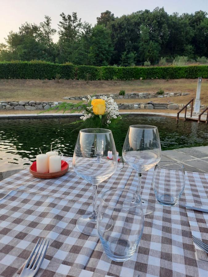 Campogialli Sassomatto B&B Bioagriturelax المظهر الخارجي الصورة
