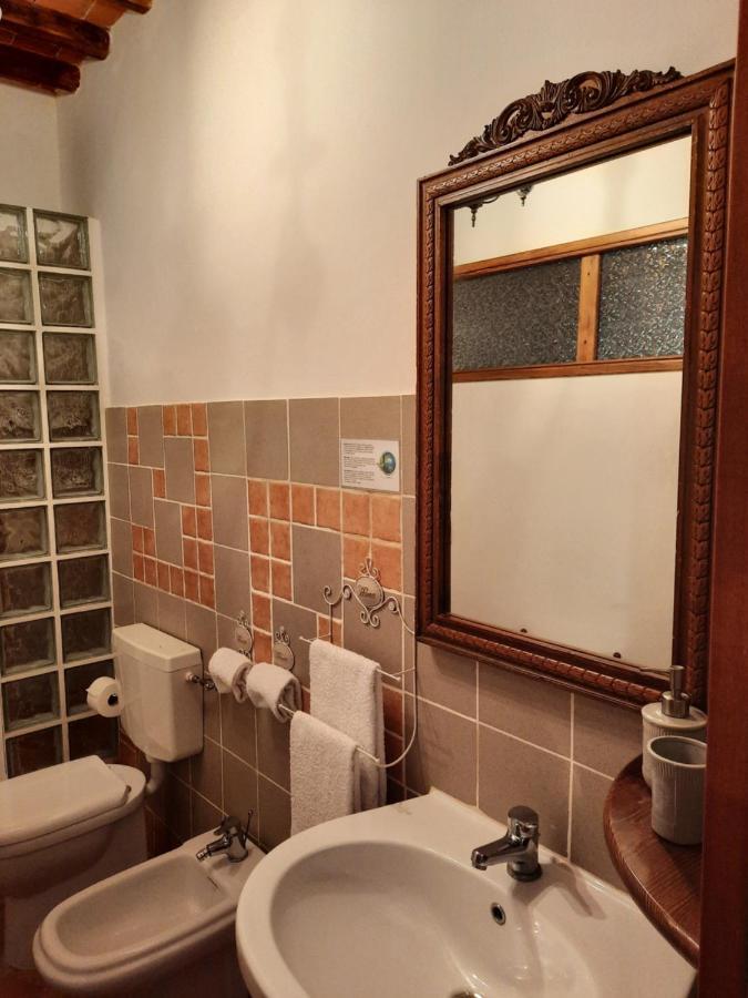 Campogialli Sassomatto B&B Bioagriturelax المظهر الخارجي الصورة