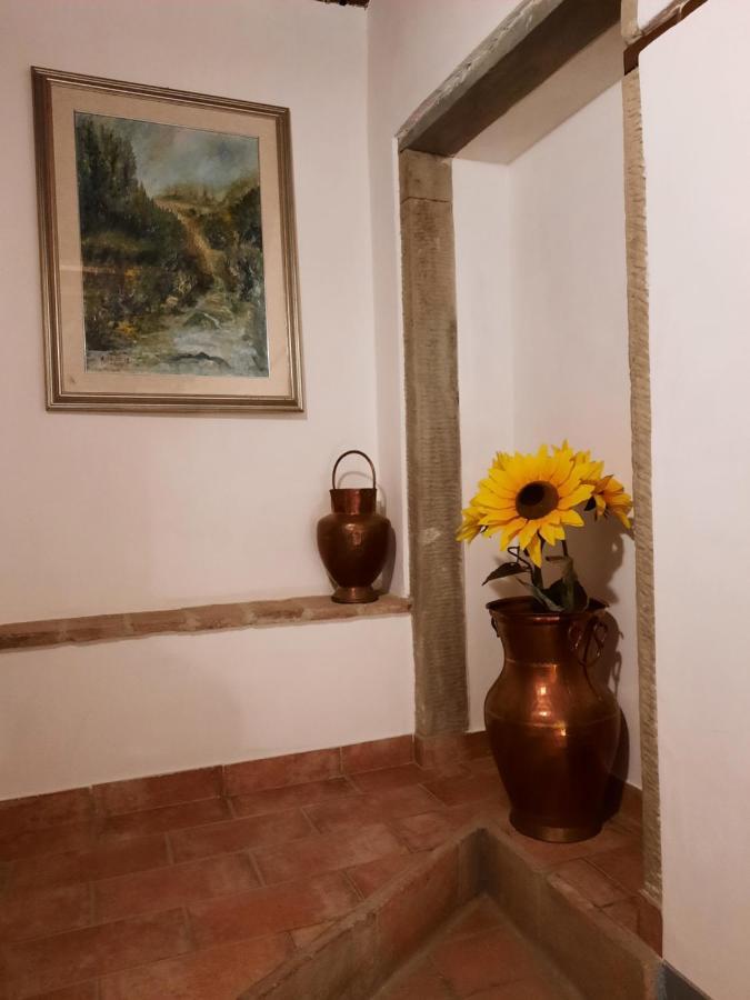 Campogialli Sassomatto B&B Bioagriturelax المظهر الخارجي الصورة
